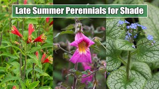 10 Late Summer Perennials for ShadePart Shade Garden Spot  August September Blooms [upl. by Lladnarc]