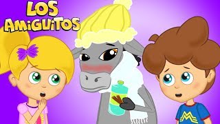 A mi burro le duele la cabeza y muchas más Cancion Infantil  Los Amiguitos [upl. by Annamarie]