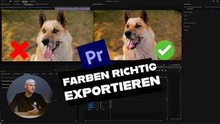 EXPORT EINSTELLUNGEN PREMIERE PRO 🎨  FARBEN RICHTIG EXPORTIEREN  Fitchgallery [upl. by Akayas74]