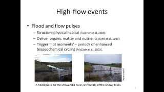 Functional responses to environmental flows [upl. by Surat]