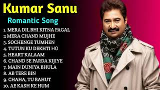 New Kumar Sanu Gan  Kumar Sanu amp Alka Yagnik  Kumar Sanu Best Bollywood Songs 90s 2024 Hindi [upl. by Edita915]