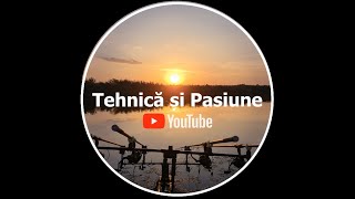 Tehnica și pasiune pescuit🎣 peste🐟 momente unice [upl. by Quartas737]