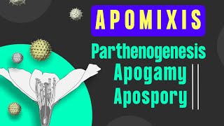 Apomixis and Polyembryony class 12 । BotanyTv [upl. by Liz]