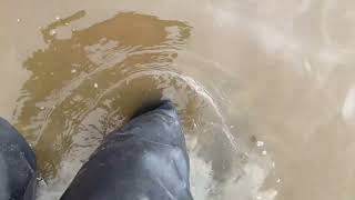 My Shibata waders boots in muddy deep water [upl. by Onej]