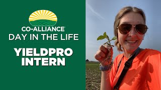 YieldPRO Intern  Day In The Life at CoAlliance [upl. by Im]