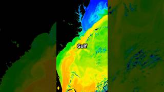 The Gulf Stream Natures Climate Engine 🌊 [upl. by Lona]