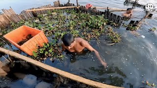 തീപ്പൊരി മീൻപിടുത്തം  fishing kuttanadnfishing reallifefishing indiafishing traditionalfishing [upl. by Yelime985]