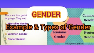 GENDER IN ENGLISH GRAMMAR Bengali Types of Gender MasculineFeminineCommon and Neuter [upl. by Lange]