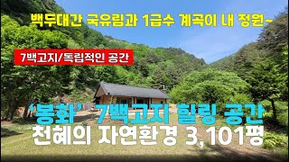 경북사찰매매봉화군 춘양면 태백산맥 백두대간 7백고지 국유림 속 힐링공간 59억 명상 힐링센터부지 [upl. by Bari]