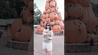 Trying fall foods at Dollywood 🦋 tastetest foodshorts dollywood foodie [upl. by Honan376]