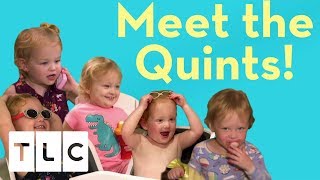 Meet the Quints  Season 3  Outdaughtered [upl. by Dodge568]