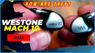 Westone Mach 10 IEM Earbuds  First Look and Listen [upl. by Rozalie]