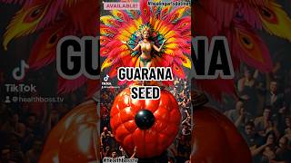 Guarana Seed [upl. by Fanchan]