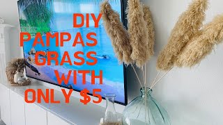 DIY Pampas Grass With Only 5 [upl. by Mert831]