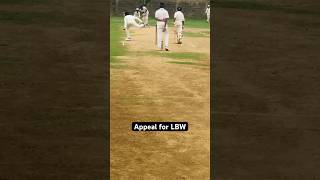 U14 cricket match viral trending cricket youtubeshorts t20worldcup viratkohli insta [upl. by Annayram189]