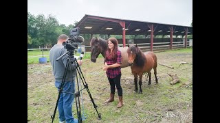 Reportage sur le film quotSans Attachequot au JT de ComComTV [upl. by Palua]