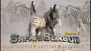 Safari Season season 5  Safari channel play list [upl. by Ahterahs409]