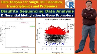 Bisulfite Sequencing Data Analysis Differential Methylation in Gene Promoters [upl. by Matthieu]