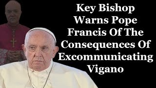 Key Bishop Warns Pope Francis NOT To Excommunicate Archbishop Vigano [upl. by Danella]