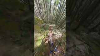 Raw single trail mtb skills bicycle downhillmtb mountainbike downhill trail enduro rider [upl. by Rodrick380]