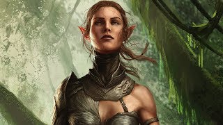 Sebille  Divinity Original Sin 2 [upl. by Yrbua]