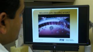 Nanomedicinebased antiHIV drug delivery targeting Mcells – Video abstract 68348 [upl. by Renraw]