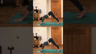 Upward Dog Downward Dog ☺️ yogawithsaratrapani [upl. by Renee]