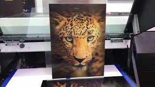 MUST SEE Lenticular print done on UJF6042MKII by PDS Equipment [upl. by Kosiur]