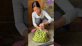 Fruit Packaging New Idea 🕹️ Amazing Idea  ytshorts package shorts viralreels AGGACHOKRO [upl. by Eiramait]