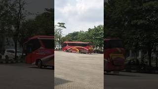 HALMAHERA busmedan busmania shortvideo pecintabis automobile bissermedan [upl. by Elehcor]