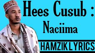 XARIIR AXMED HEES CUSUB NACIIMA OFFICIAL VIDEO HD LYRICS 2020 [upl. by Aelahs]