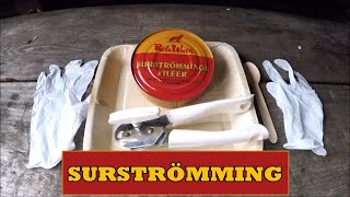 Surströmming Stinkefisch Unboxing und Geruchsprobe [upl. by Attela]