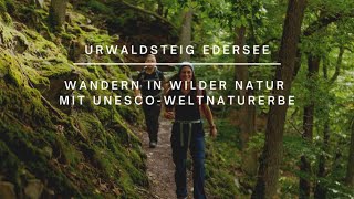 Urwaldsteig Edersee  Wandern in wilder Natur mit UNESCOWeltnaturerbe [upl. by Yojal]