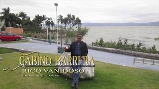 Gabino Barrera  Rico Vanidoso  Video Oficial [upl. by Peti]