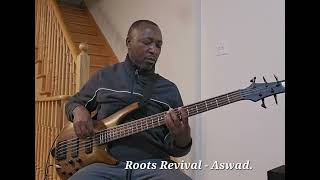 Roots Revival  Aswad bass cover [upl. by Aitel]