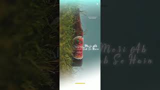 KingfisherBeer [upl. by Nelleoj]