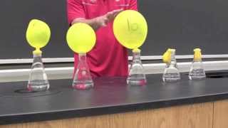 Video Demonstration Chemical Reactions Involving Gas Formation Part 2 [upl. by Leirbma903]