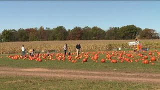 Fall fun at Rohrbach Farm [upl. by Pufahl452]