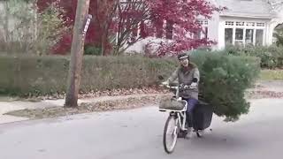 🌲🚲The happiest Christmas tree treebybike madsenchallenges madsencycles [upl. by Pam438]