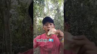 ¿Cual es el salario minimo de tu país guatemala comedia paratiiiiiiiiii videoviral dúo fyp [upl. by Sihunn]