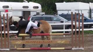 Showjumping FALLS and BLOOPERS  Avramlingar  Horsefails [upl. by Colfin]