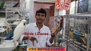 License For Exotic Birds Parrot Species  Can We Keep Exotic Caged Bird At Home Or Not [upl. by Veno]