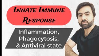 Lec6  Innate Immune Response  Inflammation  Phagocytosis  Innate Immune Response  UrduHindi [upl. by Sualkcin]