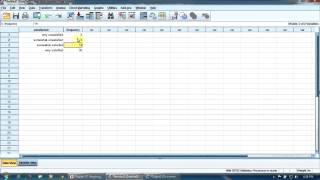 Lesson 7  Weighing Data in SPSS [upl. by Obla]