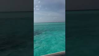 Maldives resort travel maldives beach vlog vacation india youtubeshorts tranding [upl. by Ellenehc740]