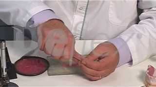 Deflex flexible dentures Video 2 Alignment [upl. by Guntar641]