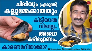 കല്ലുമ്മേക്കായയും ചിപ്പിയും എരുന്ത് കിട്ടിയാൽ വിടല്ലേ അപ്പൊ കഴിച്ചോണം കാരണമറിയാമോ [upl. by Efram]