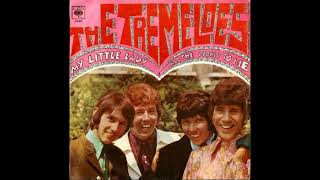 The Tremeloes  My Little Lady 1968 Single [upl. by Huey]