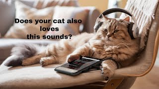 Surprising sounds that cats love [upl. by Wohlert]