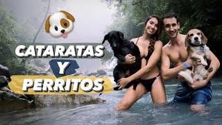 🌊 Cataratas de Costa Rica La Celestial y Las Gemelas  Excursión con los perritos 🐶 [upl. by Iene]